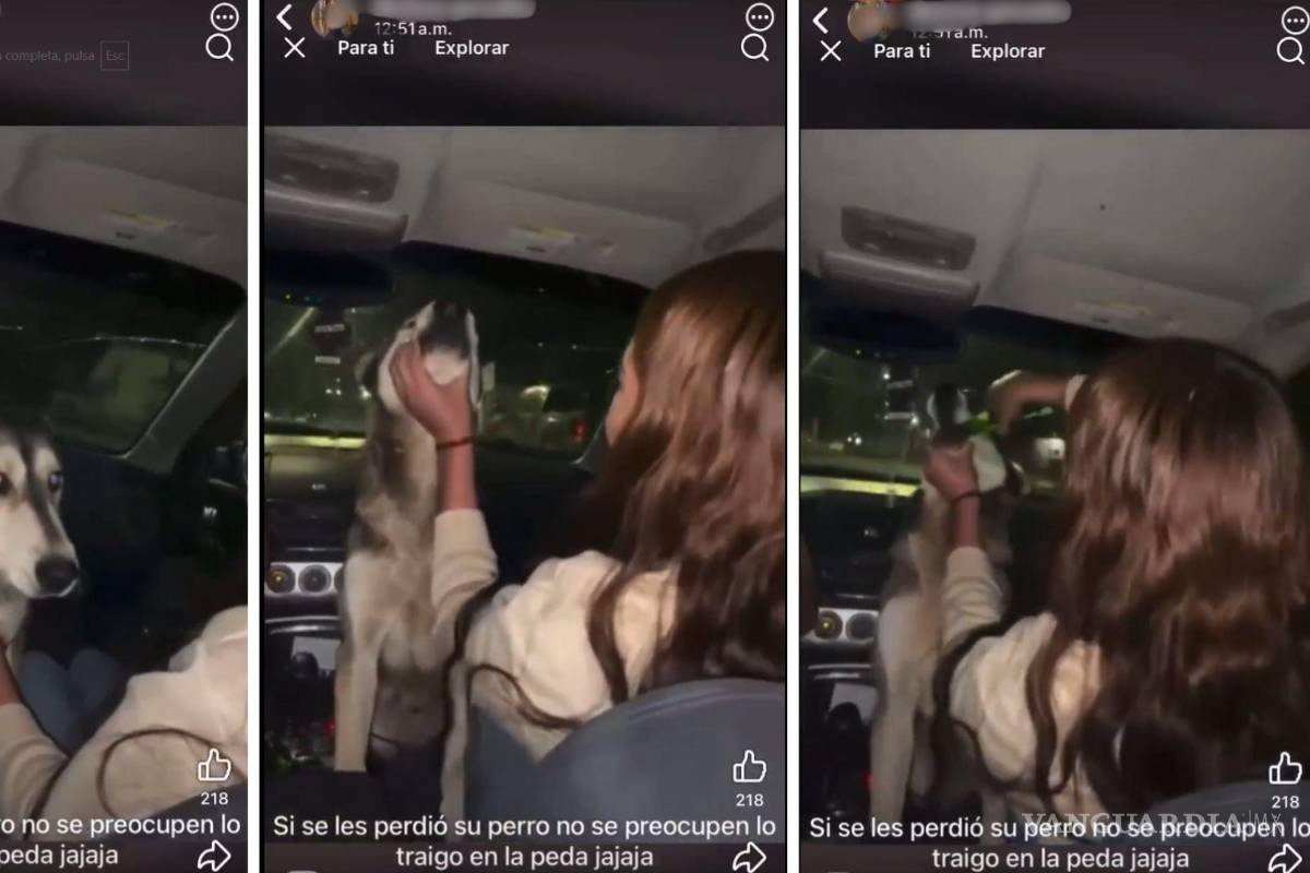 Chihuahua: Jóvenes dan alcohol a una perrita callejera; Universidad identifica a alumna (VIDEO)