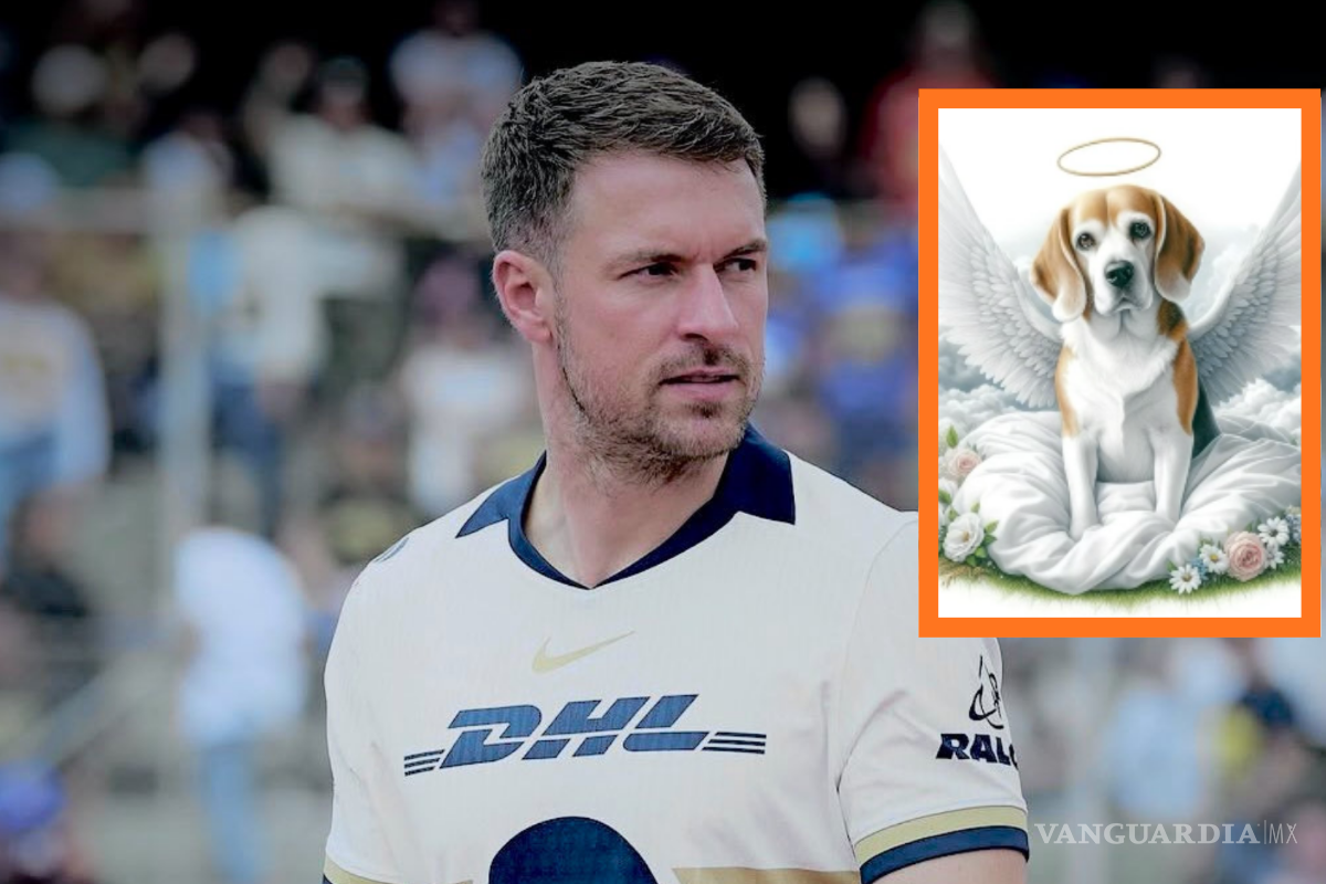 Aaron Ramsey rompe el silencio sobre Halo: “Tenemos que aceptar que muy probablemente falleció”