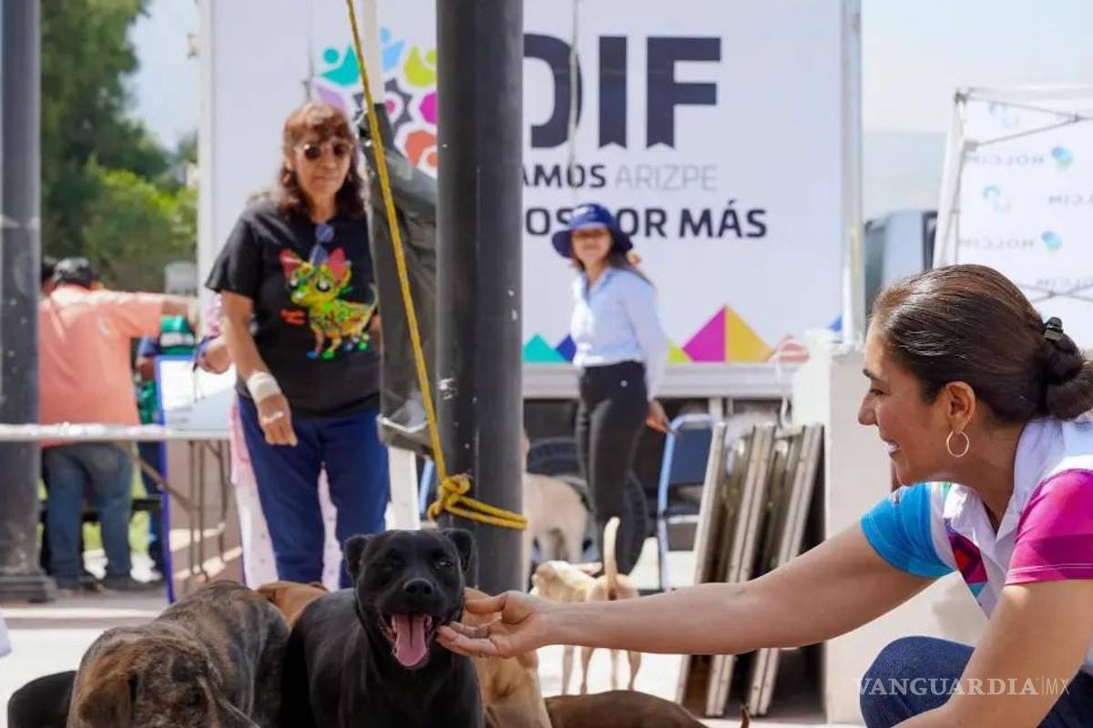 Ramos Arizpe realizará jornada gratuita de esterilización para perros y gatos