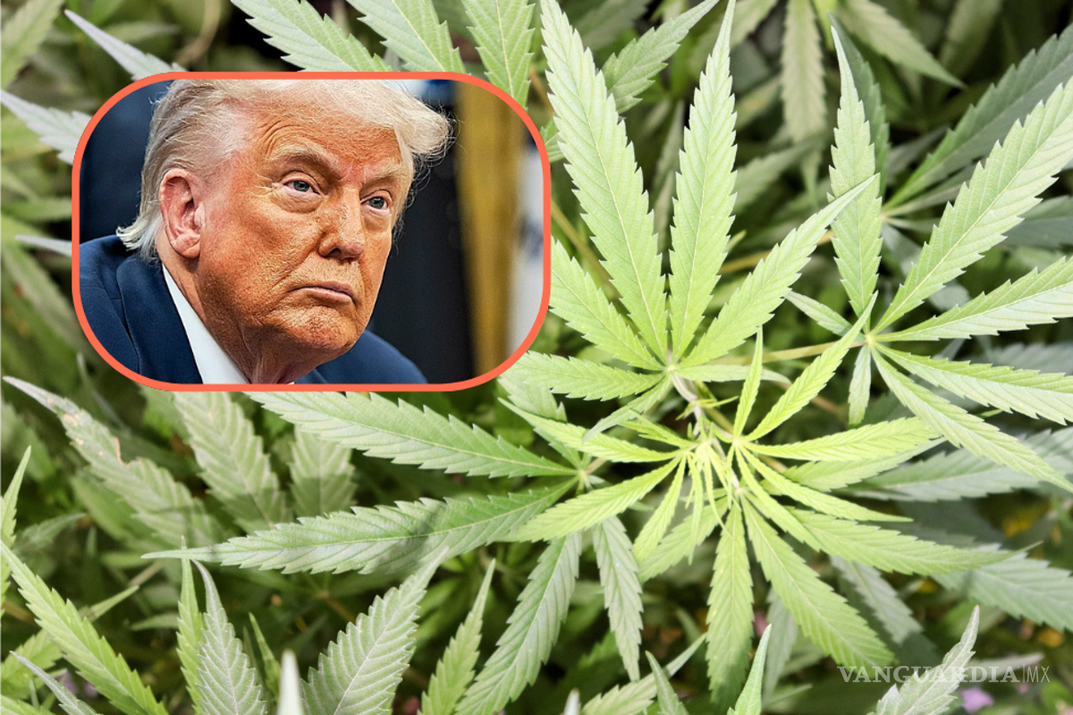 ¿Estados Unidos reconsiderará los peligros y el uso de la marihuana?