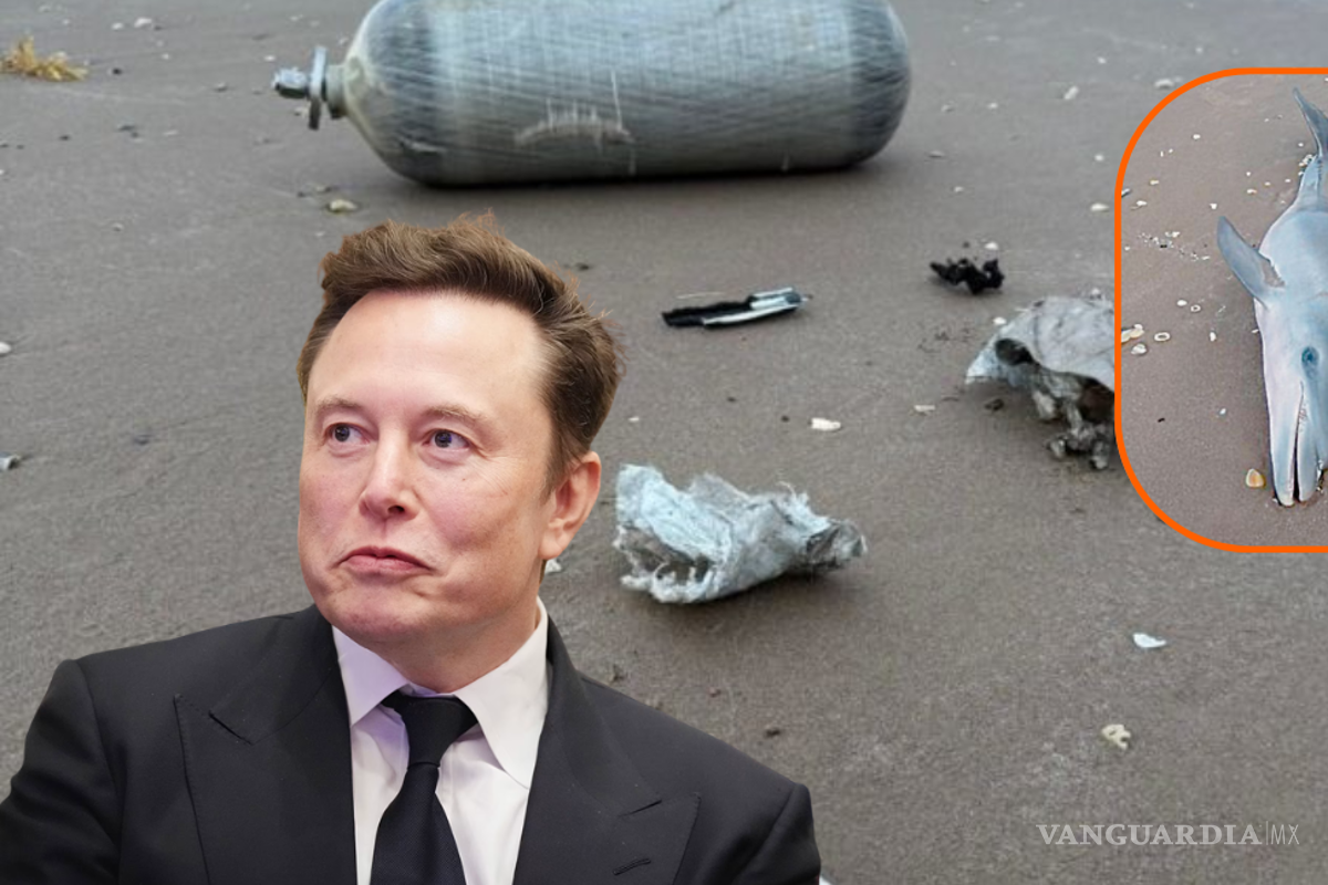 Restos de basura espacial afectan a la fauna marina de Tamaulipas