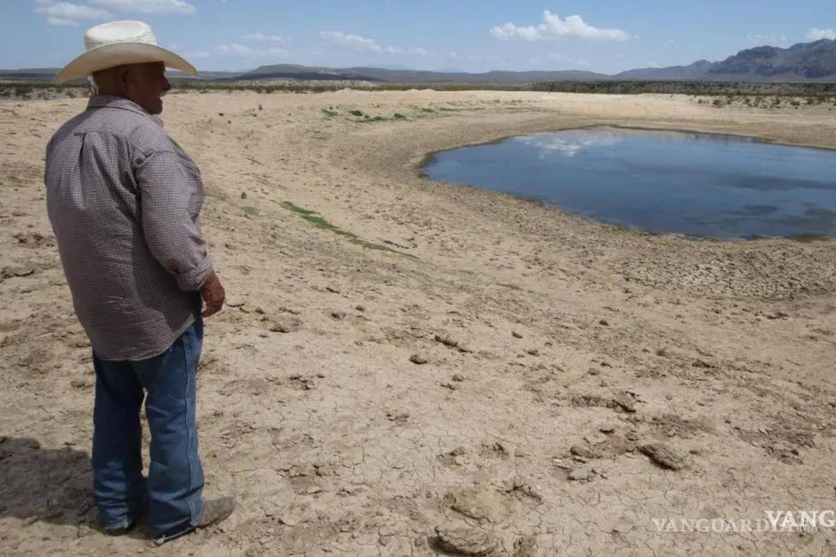 Coahuila es segundo lugar en territorio afectado por la sequía, a pesar de las lluvias