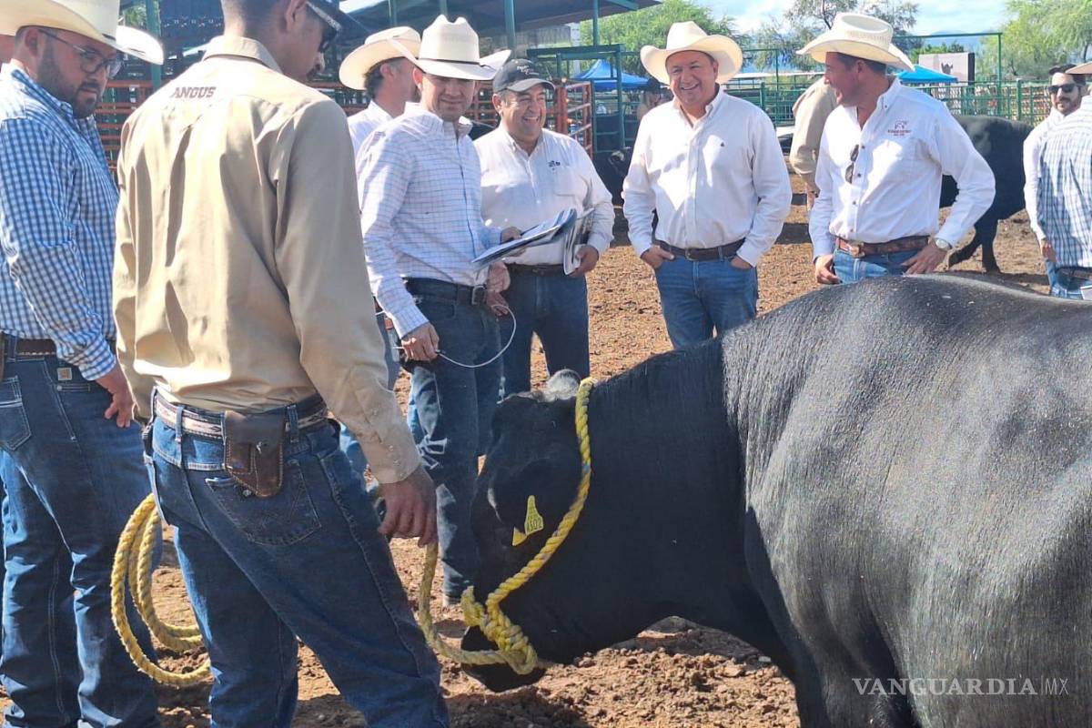 Coahuila refuerza controles para mantener al ganado libre de gusano barrenador