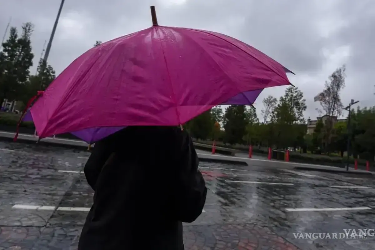 Frente Frío #10 con lluvias aisladas en NL y Tamaulipas; calor de 35 a 40 °C y viento fuerte para Coahuila