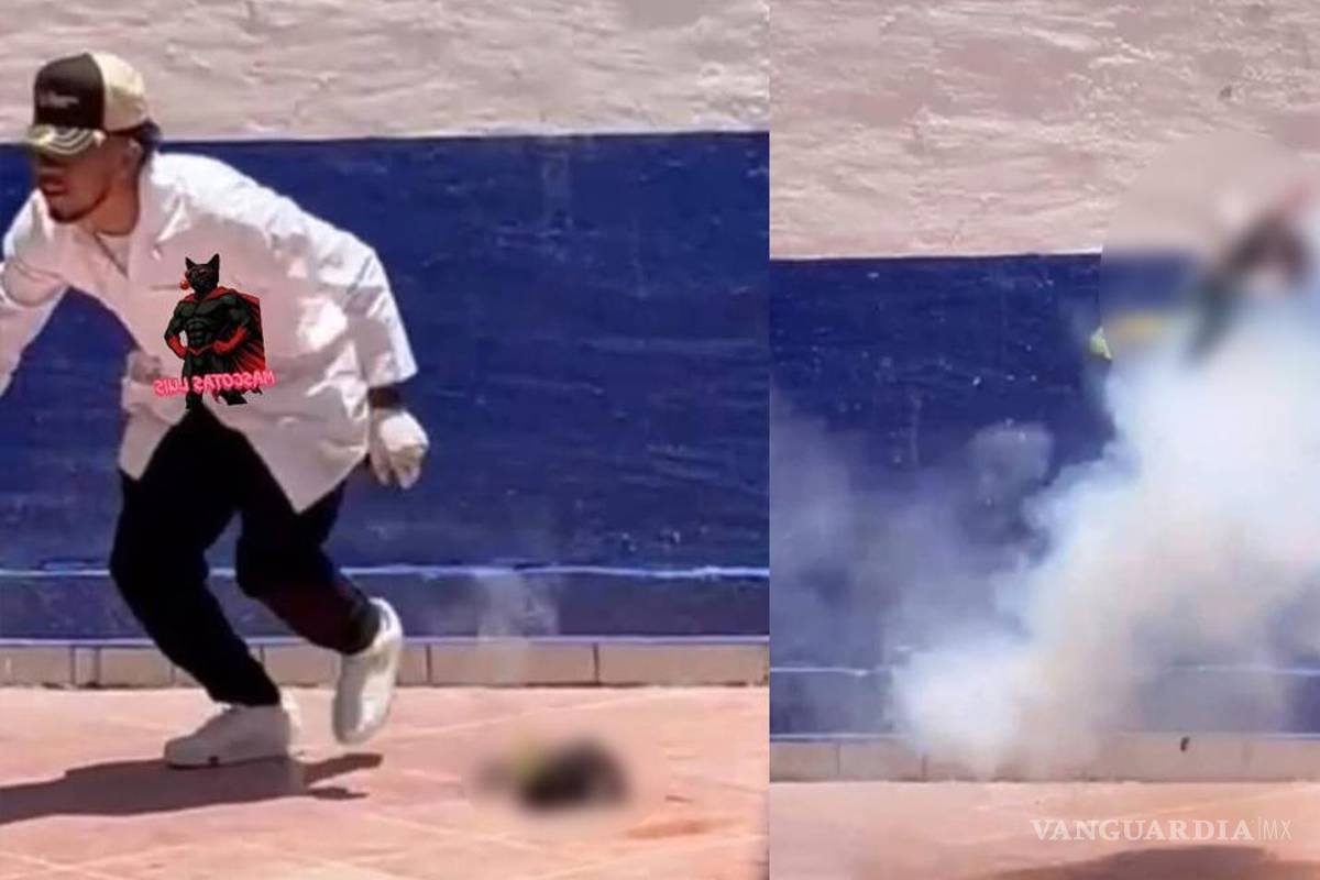 Crueldad animal... estudiantes de Criminología en Guanajuato asesinan a un gato con pirotecnia