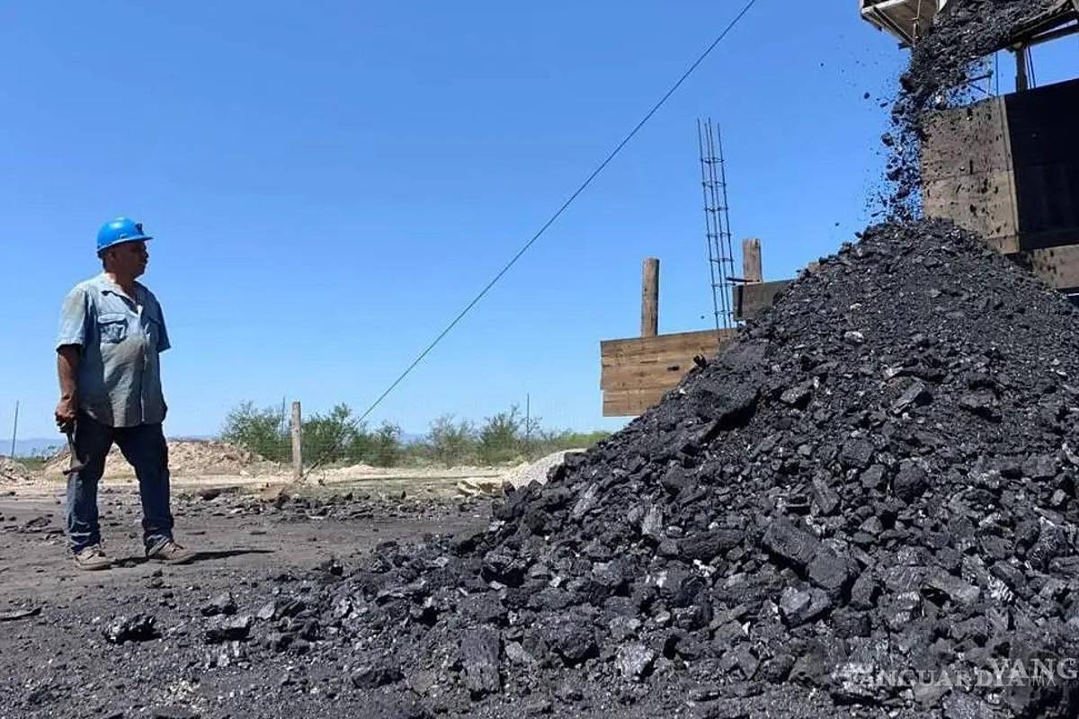 A punto de iniciar 25 productores el suministro de carbón a la CFE