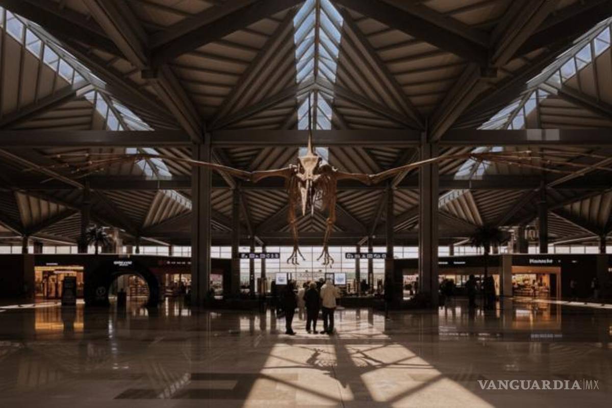 $!En el render se aprecia una propuesta museográfica que incorpora réplicas de fósiles y elementos visuales inspirados en la paleontología.