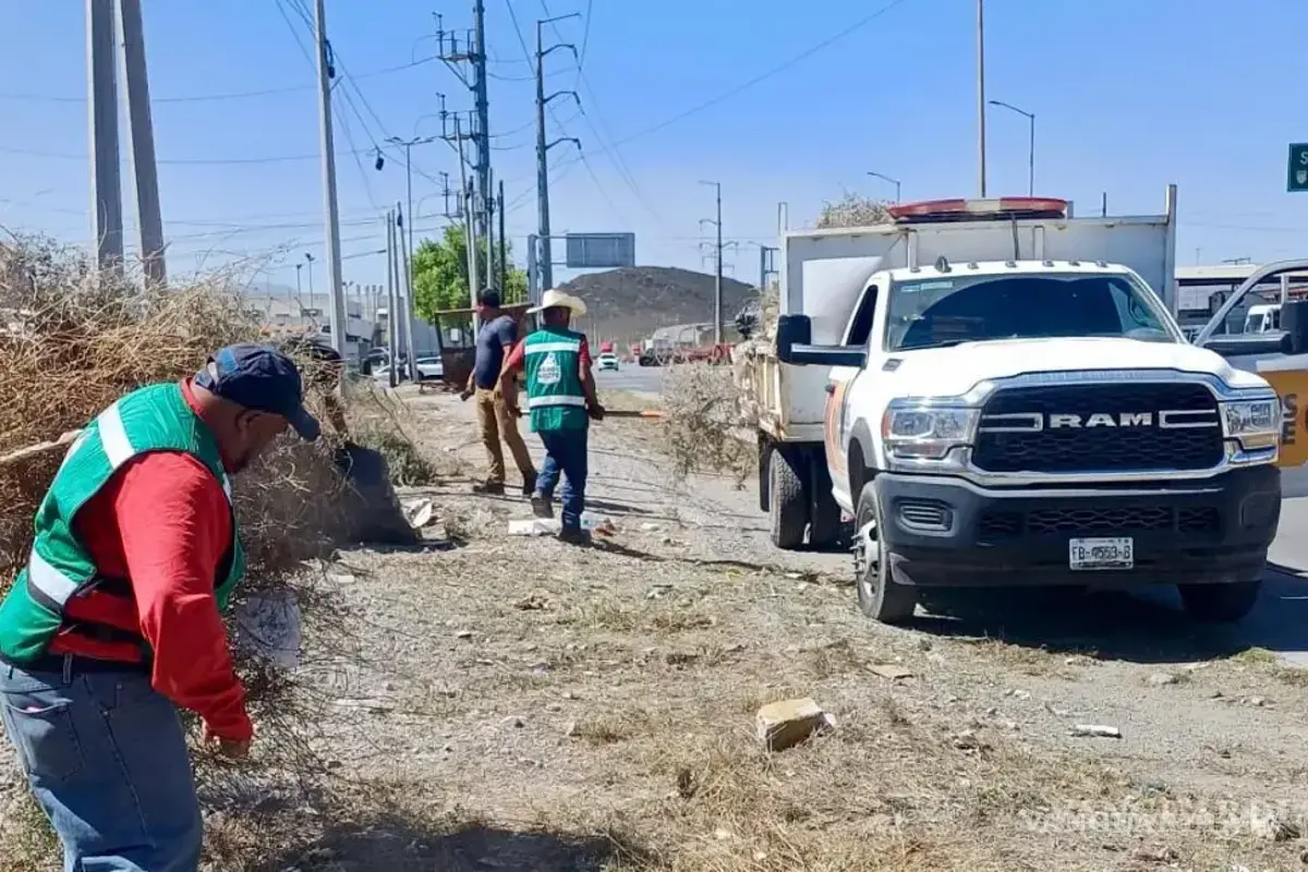 $!Quienes están inscritos en el programa de Empleo temporal, se dedican a la limpieza de espacios públicos.