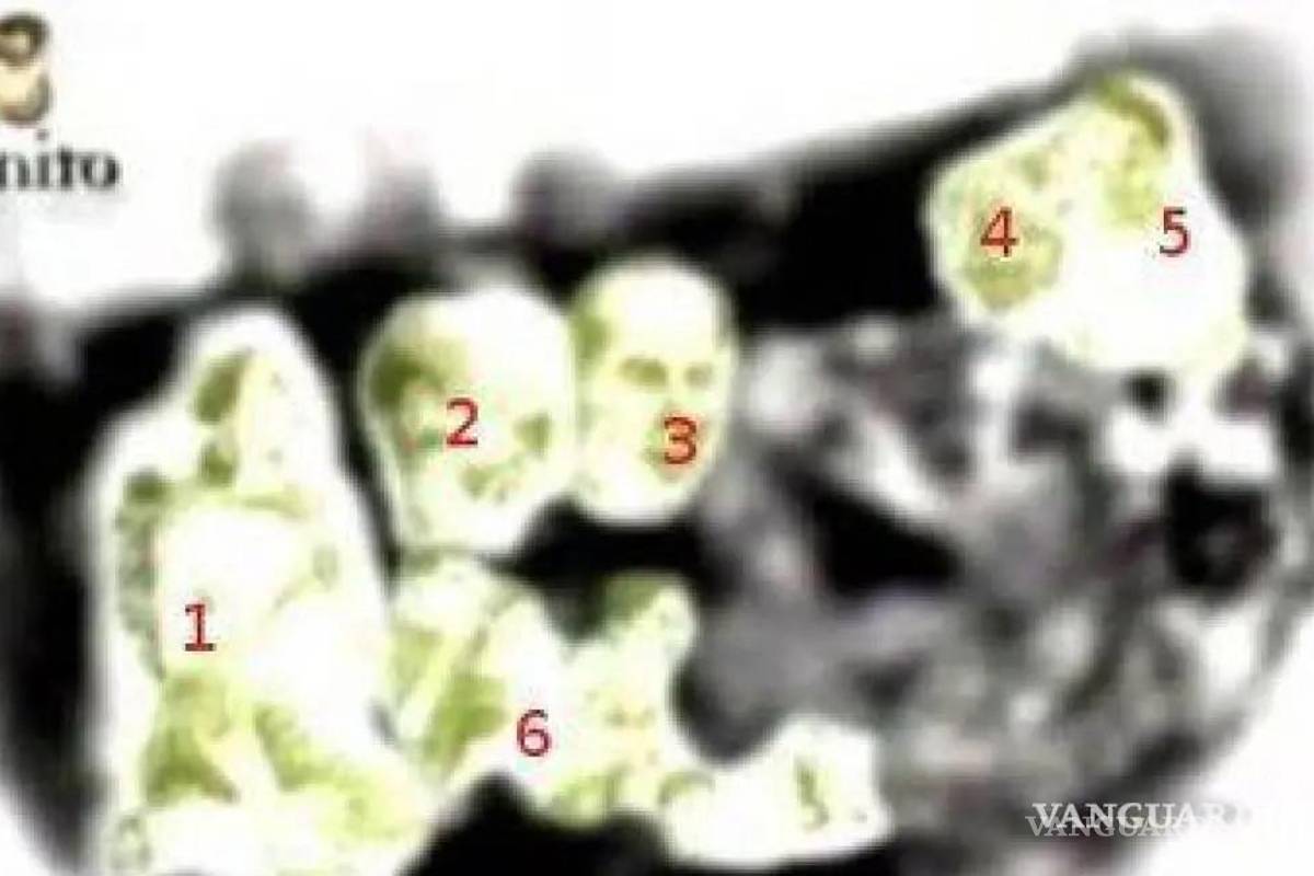 $!Virgen de Guadalupe... ¿Qué misterio se esconde en sus ojos y quiénes son las 13 personas que se reflejan en ellos?