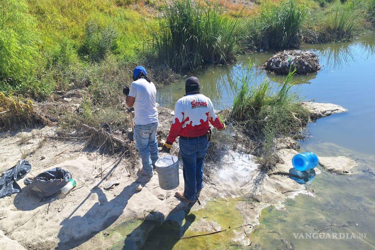 Mortandad de peces preocupa a autoridades en Acuña; carpas y mojarras, especies afectadas