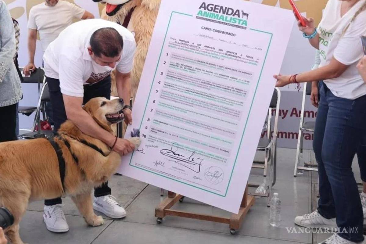 ¡El es ‘Tomy’!... el perrito que ocupa un cargo dentro del gabinete del Gobierno de Puebla (video)