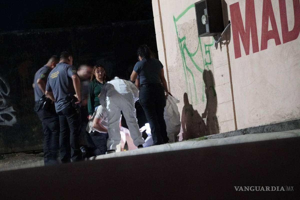 Fiscalía confirma que restos encontrados en colonia de Saltillo eran de oso