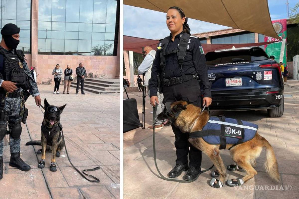 César y Bebeto se despiden del servicio; binomios caninos que marcaron la seguridad en Saltillo