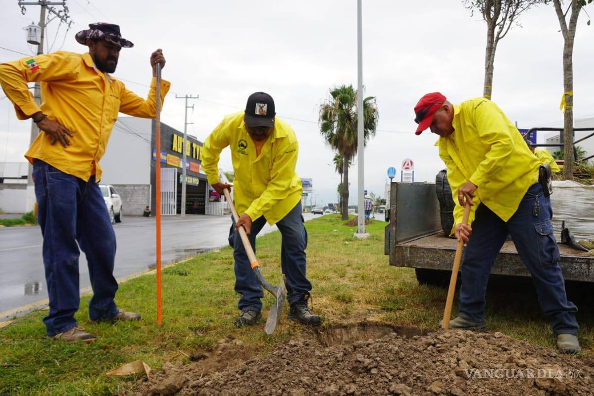 Comienza reforestación en el bulevar Colosio de Saltillo