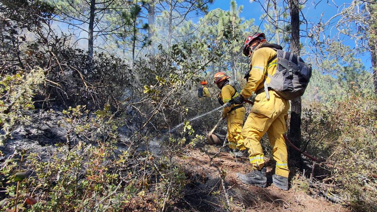 Controlan al 90 por ciento incendio en Galeana, Nuevo León