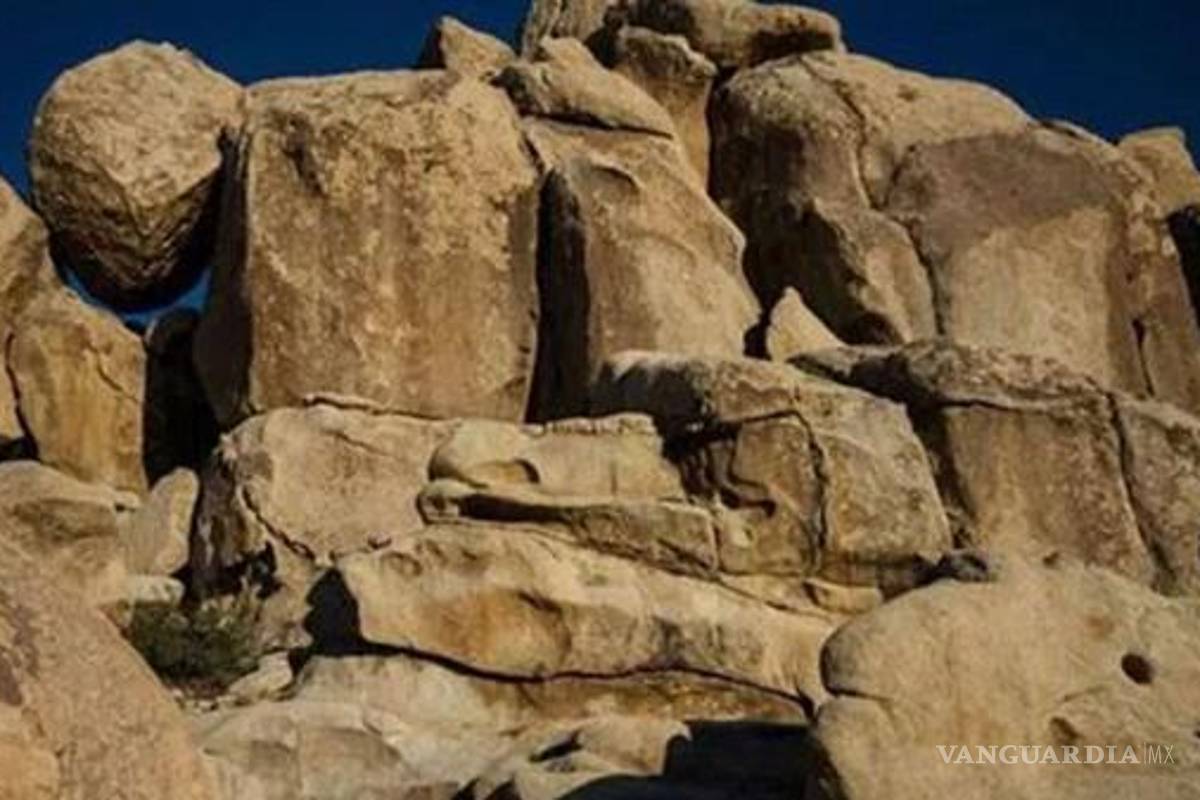 ¿Puedes encontrar a la niña con sus manos en alto en esta foto?