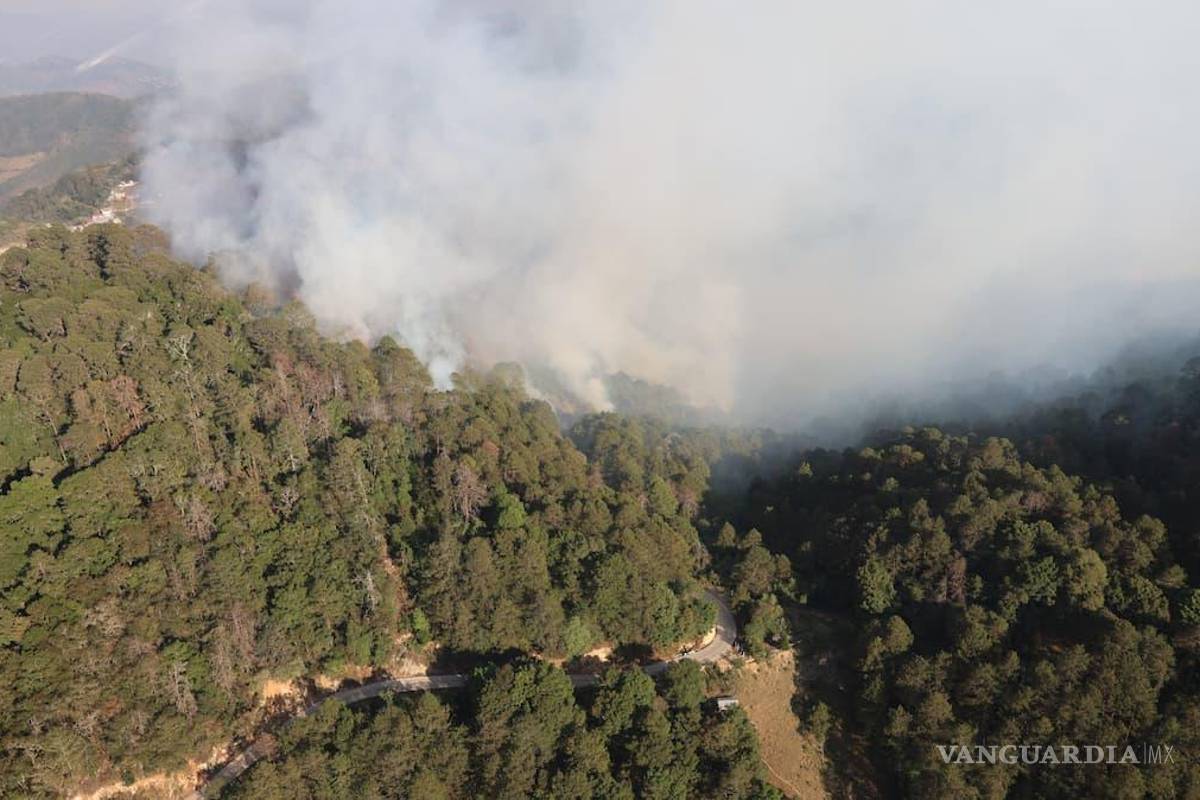 Pobladores en Hidalgo piden contener incendio; suman 10 hectáreas siniestradas