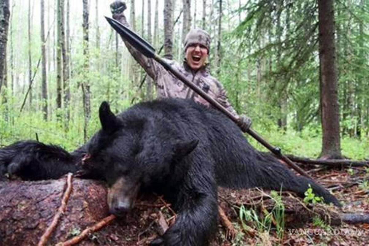Le pone una trampa a oso hambriento y lo mata con una jabalina; ahora lo amenazan de muerte