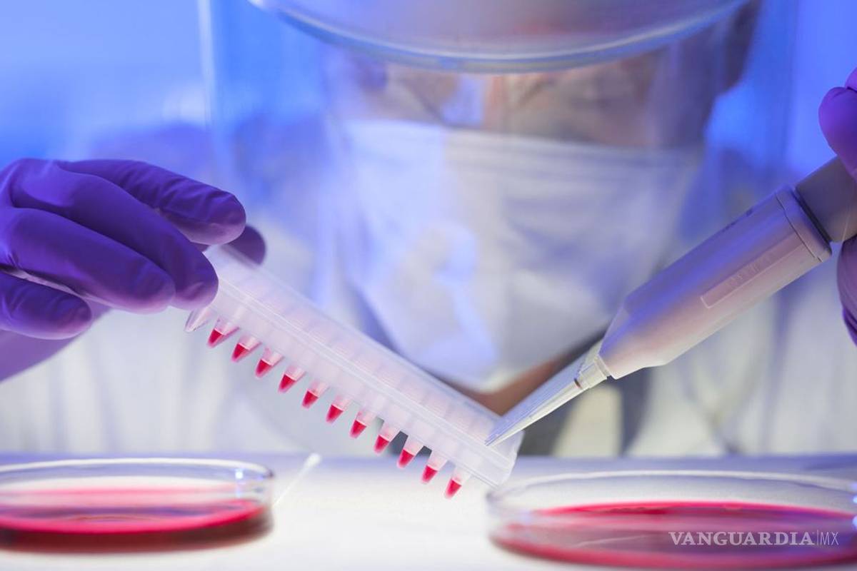 Crean software para detectar y localizar cáncer con la sangre