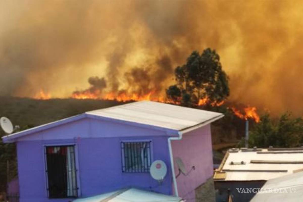 Alerta en Chile por gigantesco incendio forestal en Valparaíso