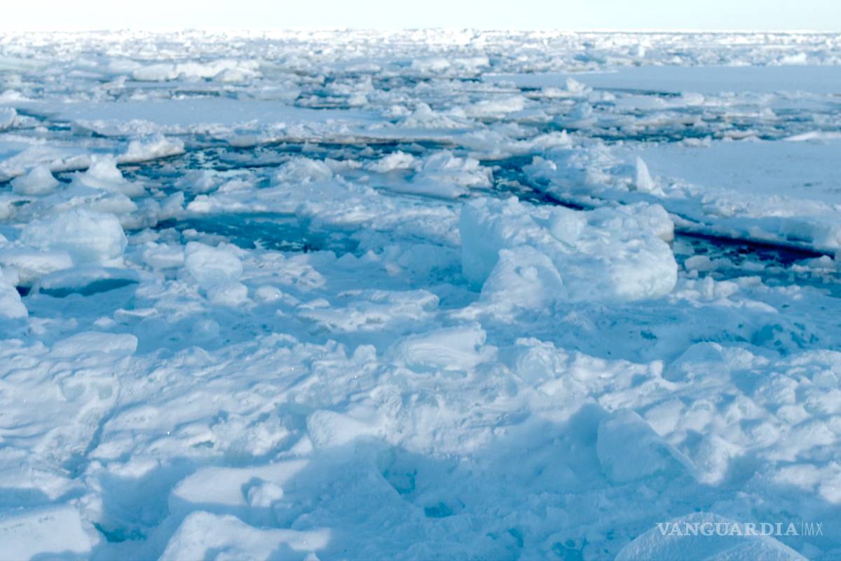 Tormenta eleva temperatura del Polo Norte por encima de punto de congelación
