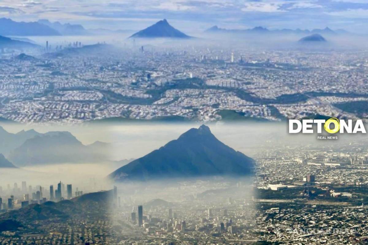 Secretaría del Medio Ambiente NL y Carabina de Ambrosio = dos carabinas