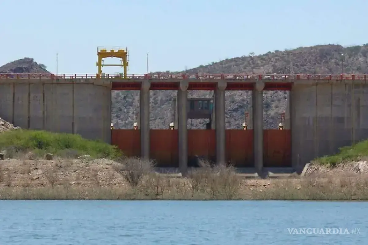 Empieza el ciclo agrícola primavera-verano 2025 en la Comarca Lagunera