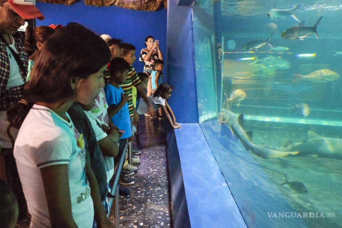 Acuario Mazatlán; toda una experiencia