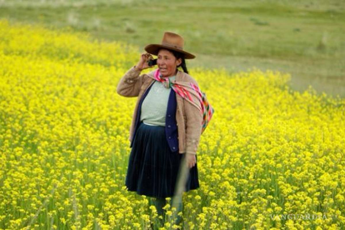 WhatsApp y Twitter son las aplicaciones más usada en zonas rurales