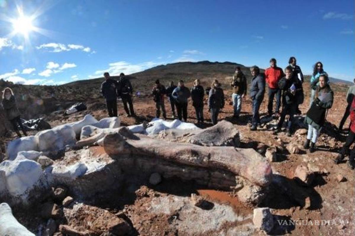 Hallan en Argentina al dinosaurio gigante más antiguo del mundo