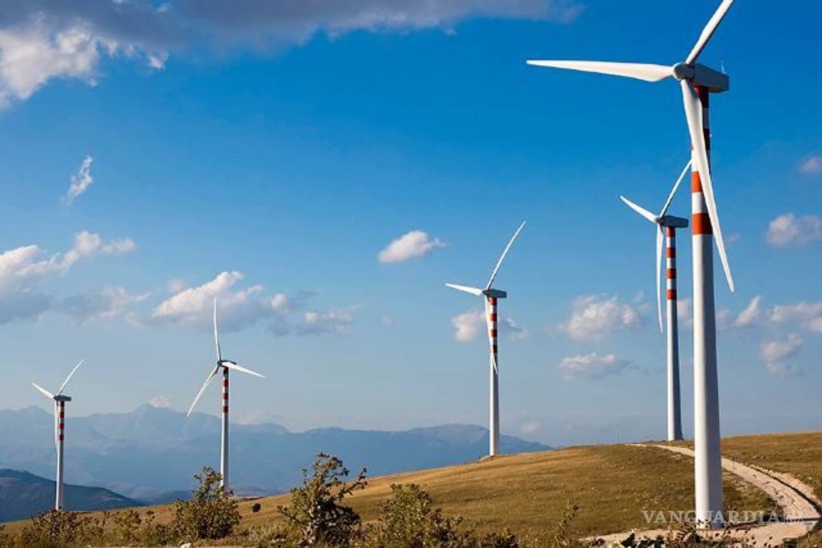 Suprema Corte ordena consultar a comunidades mayas sobre proyecto eólico