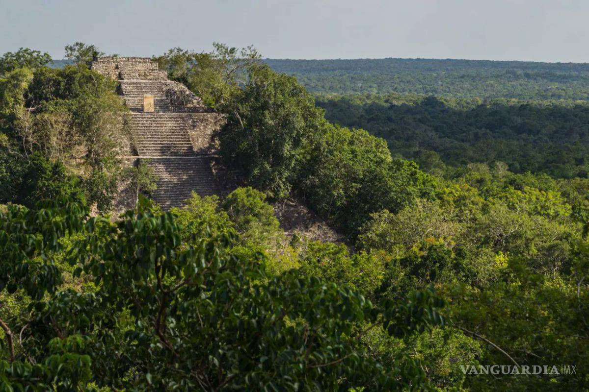 ¡Así de fácil! Descubren ‘por accidente’ enorme ciudad maya oculta en Campeche