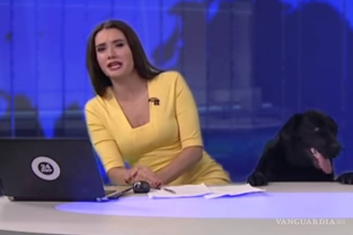 Un perro interrumpe noticiario y se vuelve la sensación