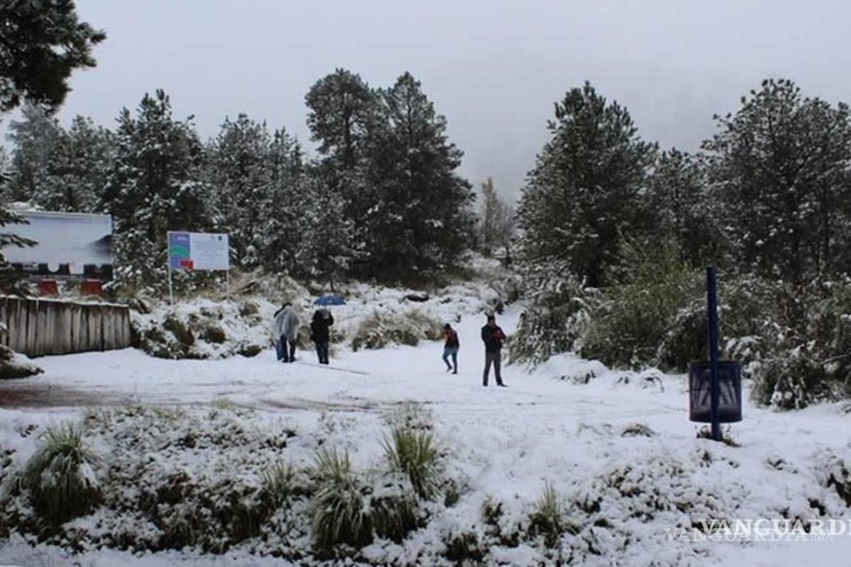 Prepárese... Nieve y Aguanieve cubrirán a estos estados de México; Frente Frío 23 y Masa de Aire Frío generarán temperaturas de -15 grados