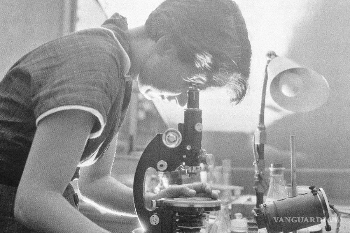 Rosalind Franklin, la mujer que no ganó el Premio Nobel