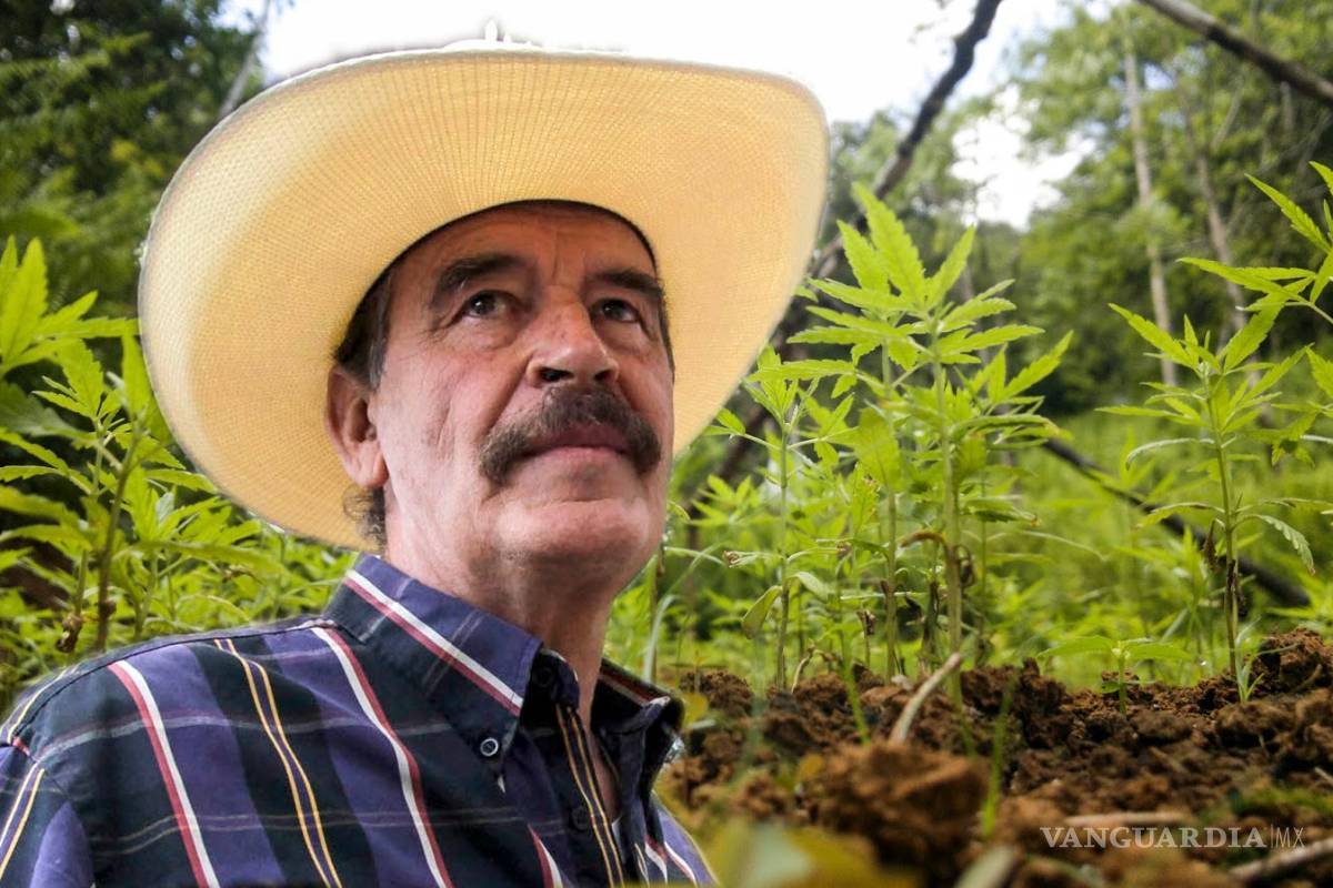 Fox a favor de la mariguana pide a Sánchez Cordero presentar iniciativa para su legalización