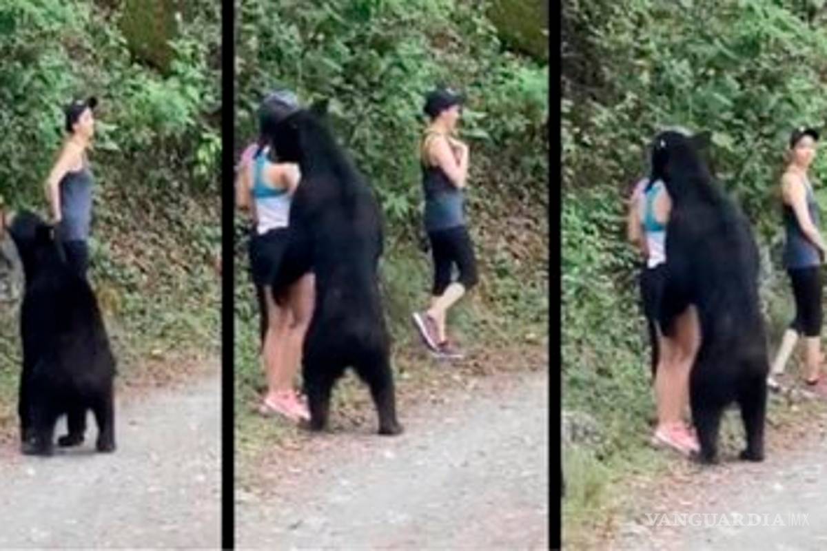 Desatan polémica por oso sociable en Nuevo León