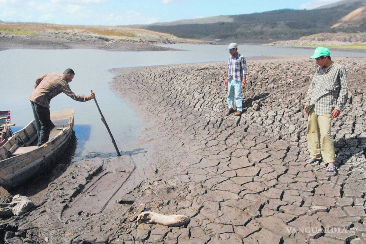 Urge ONU medidas para frenar la desertificación; Bill Gates pide innovar en agricultura
