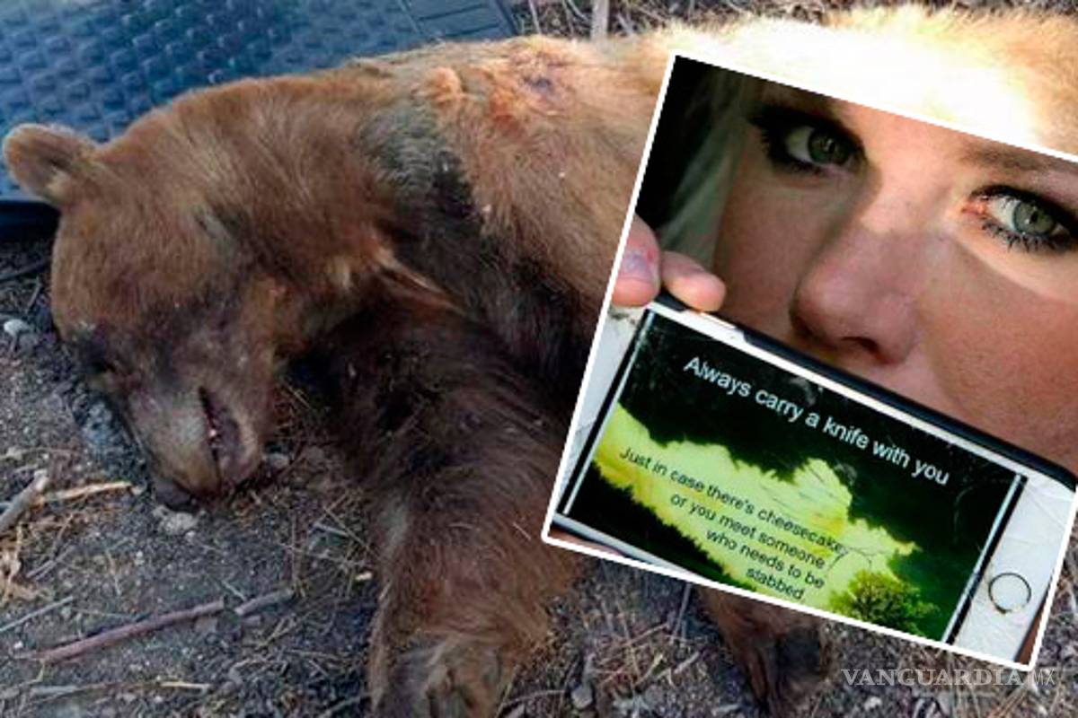 Mató a un oso que entró en su cocina y atacó a su perro; ahora es acosada y amenazada