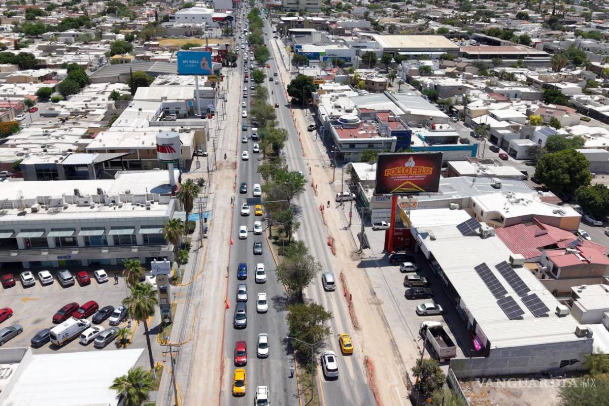 Torreón: Trasplantan árboles de bulevar; con plantación y riego eficiente compensarán pérdida