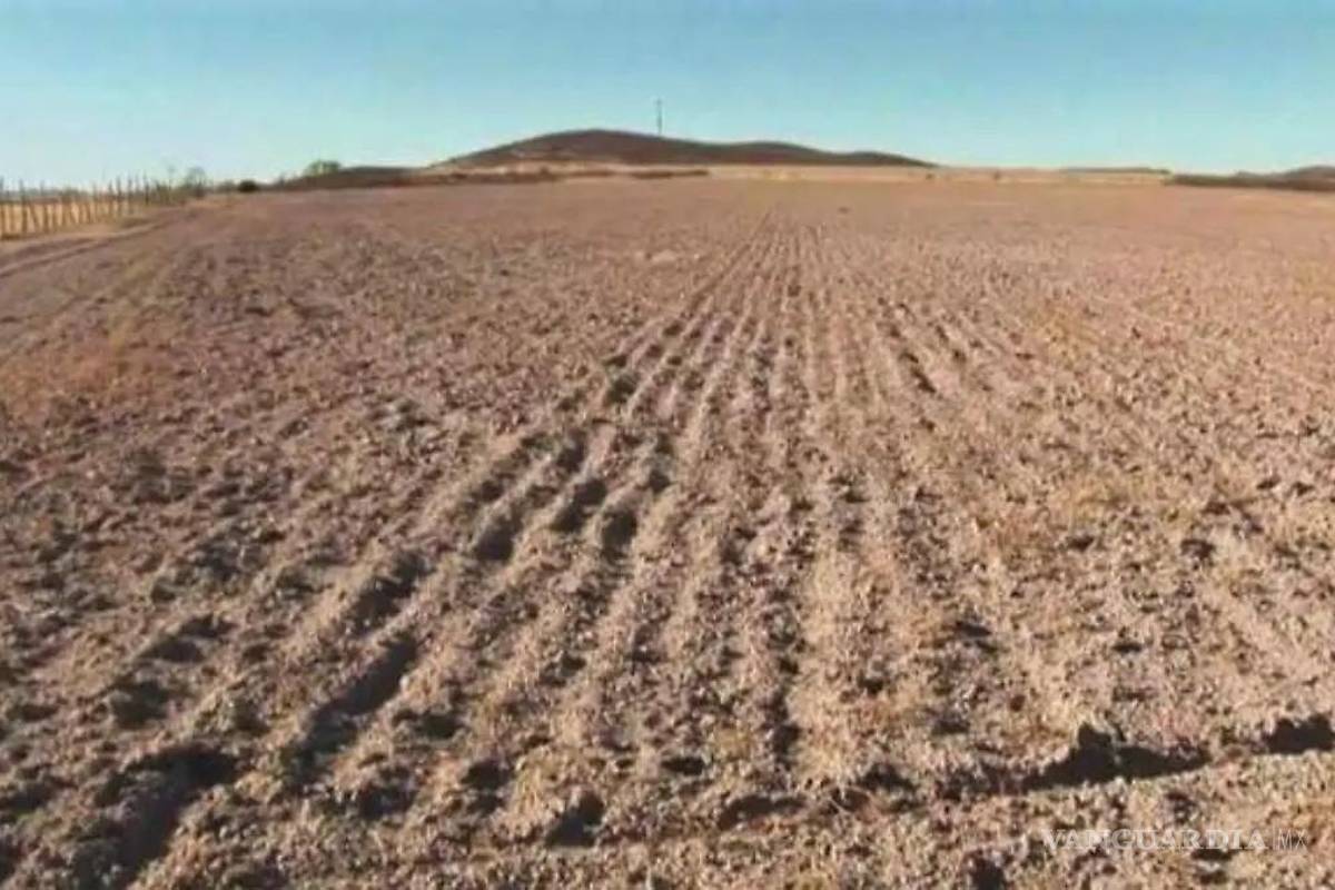 Delegado rural de Ciudad Acuña exige el regreso de programas federales