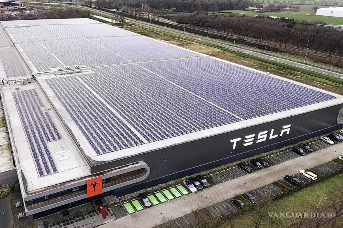 Tardará más de lo previsto construir planta Tesla en NL