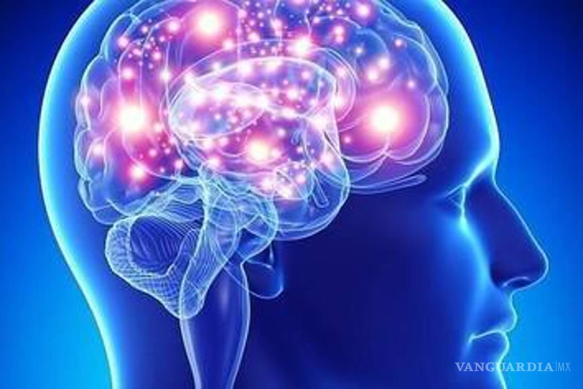 Qué son los sesgos cognitivos y porque distorsionan nuestra percepción de la realidad