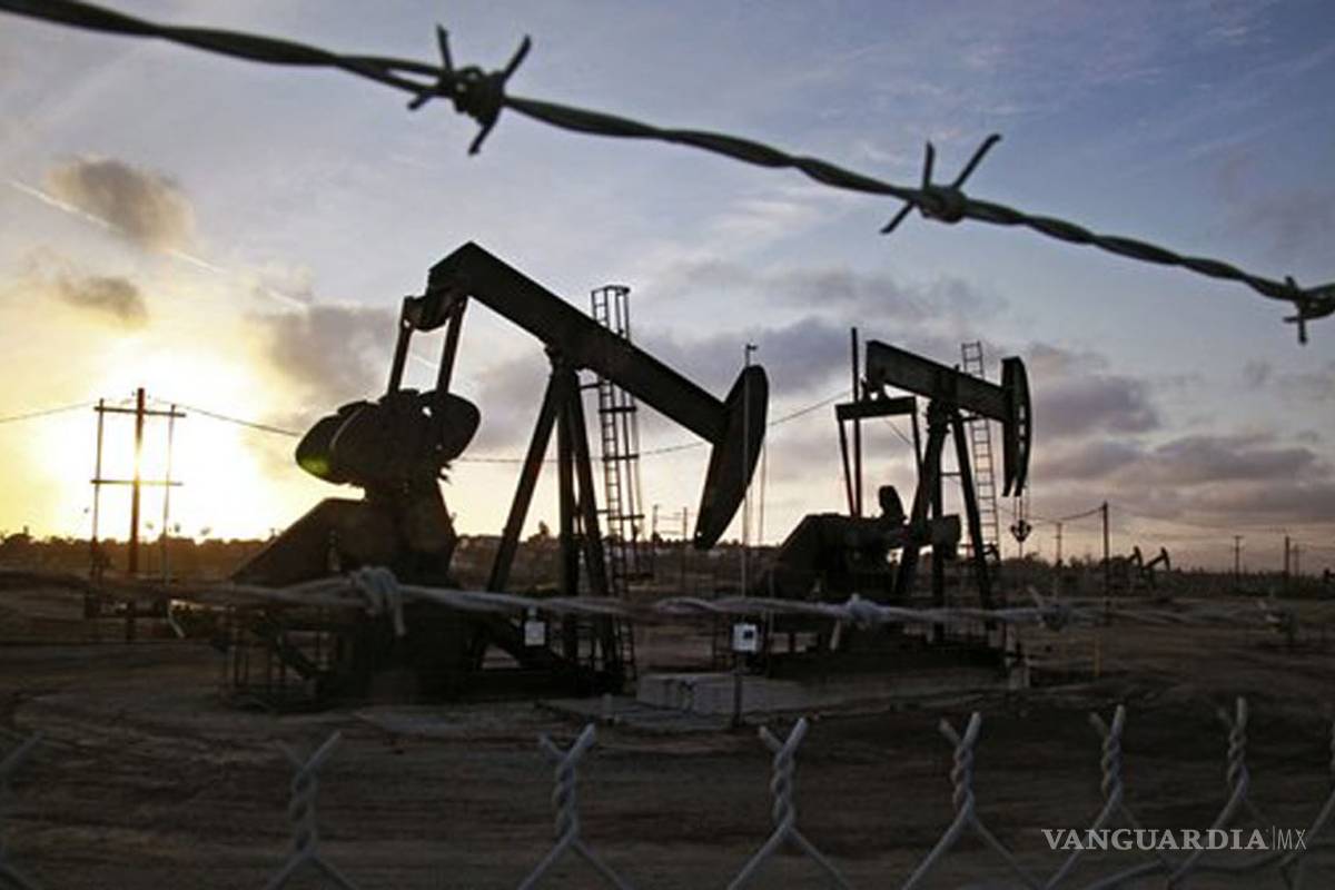 ‘Enorme el impacto económico de la explotación del gas shale’