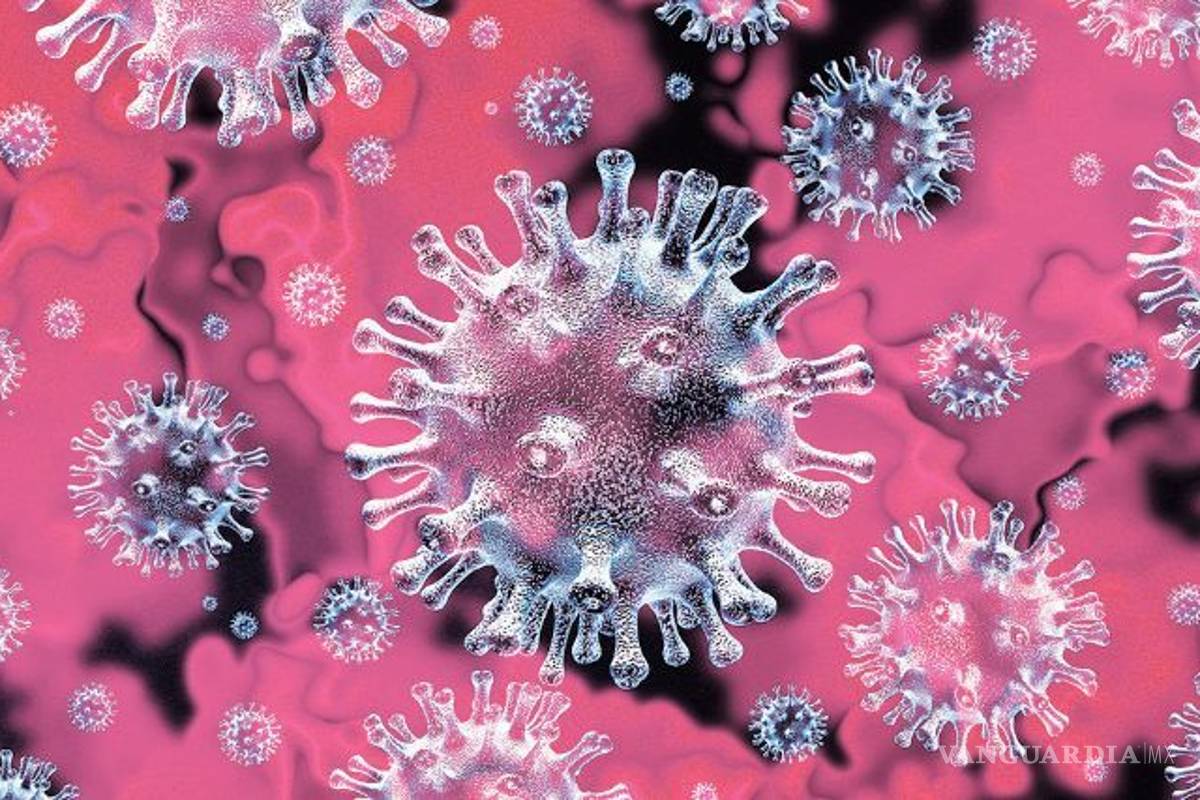 Pólizas, un plan de contingencia personal ante el COVID-19