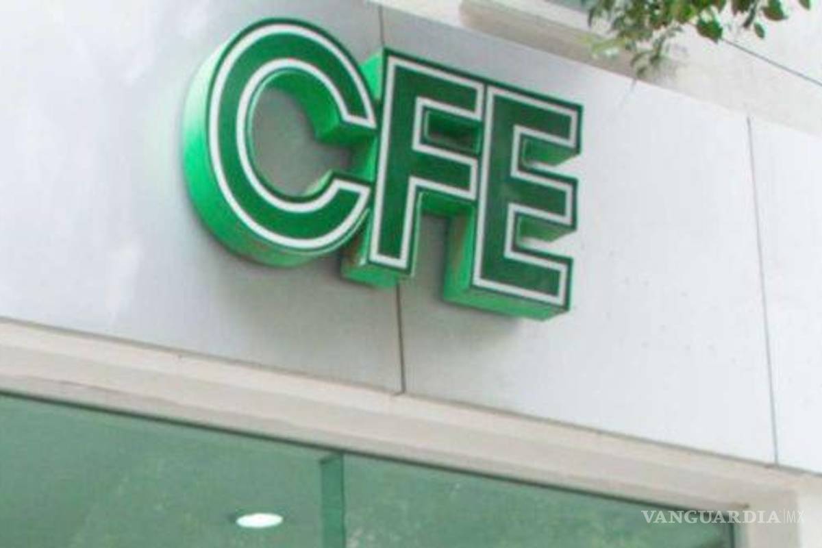 CNDH pide a CFE reparar daños por muerte de un menor por descarga eléctrica en 2019