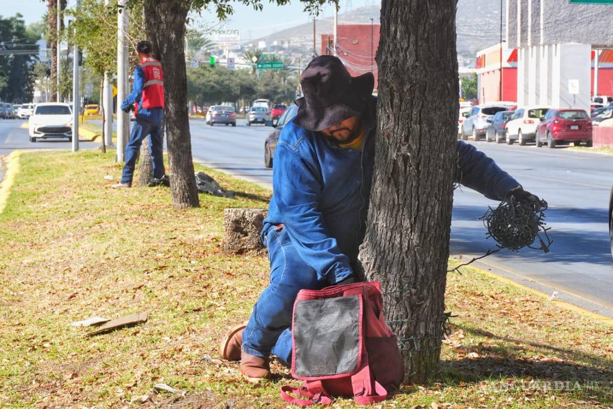 $!Las “cascadas de luz” volverán a adornar la calzada Colón, uno de los puntos más fotografiados.