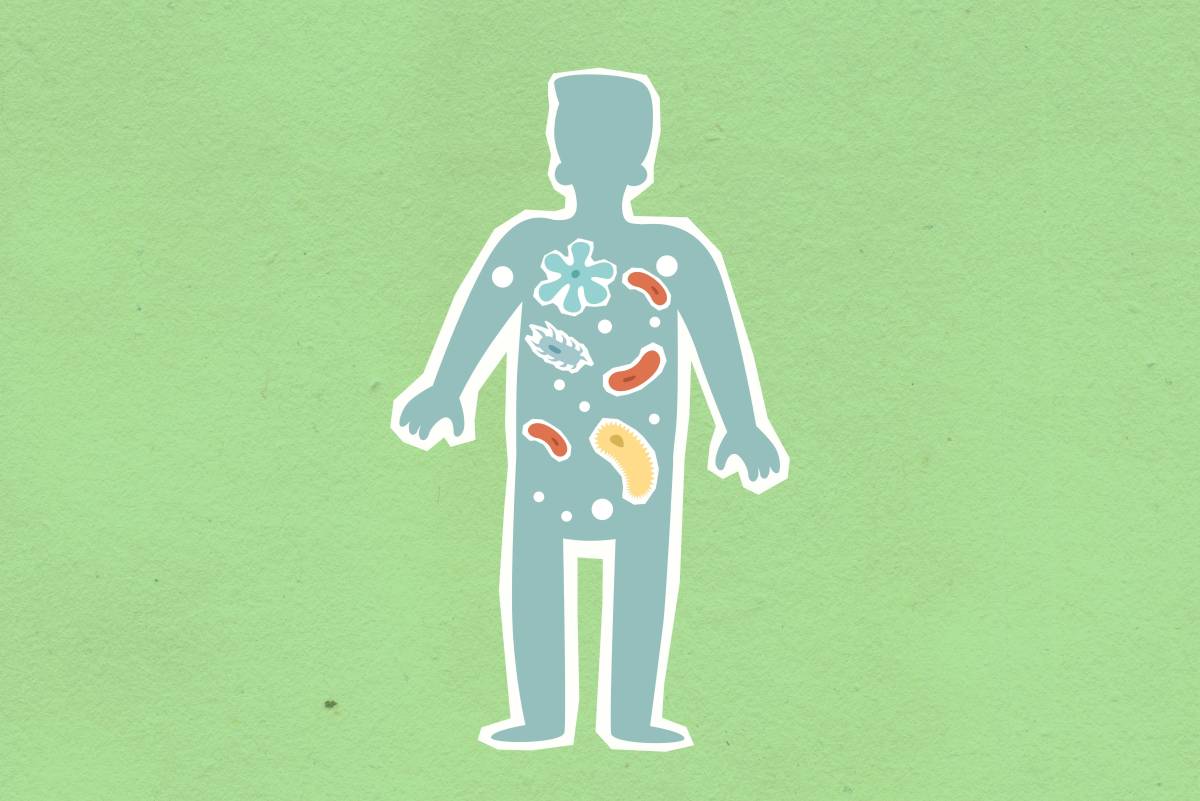 Las mitocondrias como “blanco terapéutico”