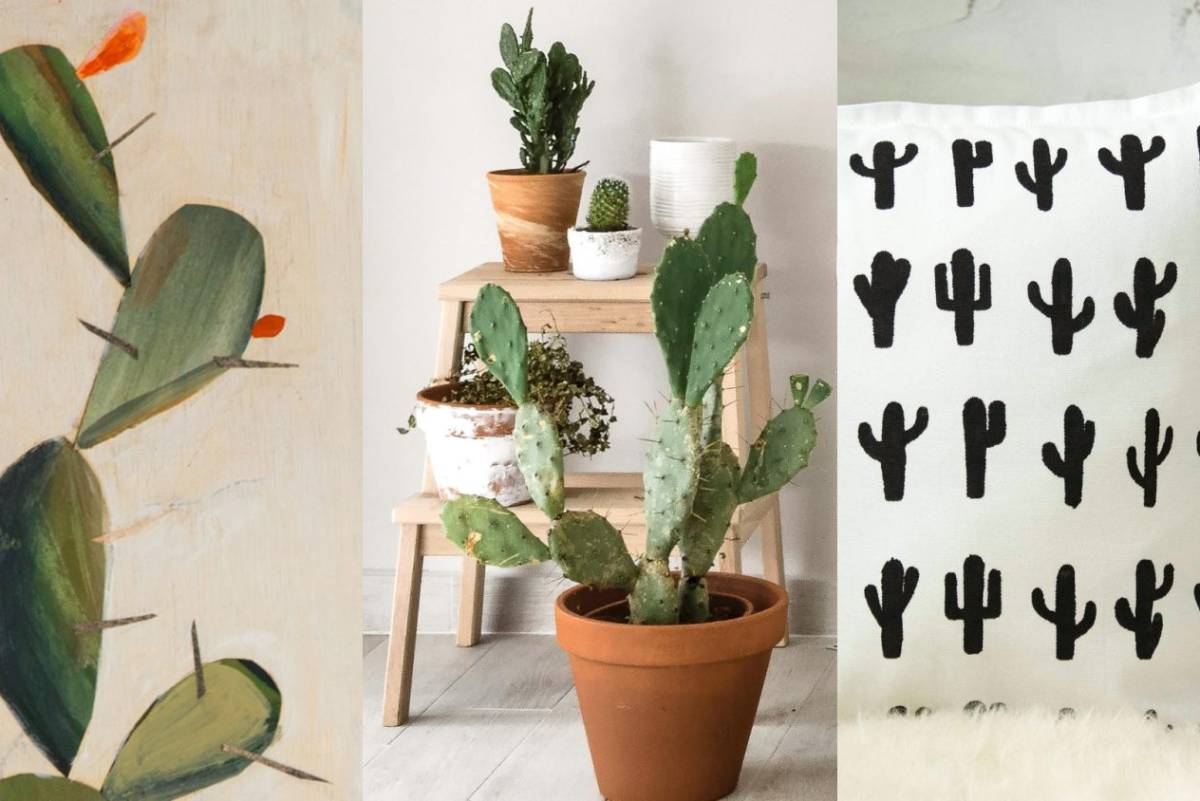 La moda de los cactus - Ideas de decoración con cactus