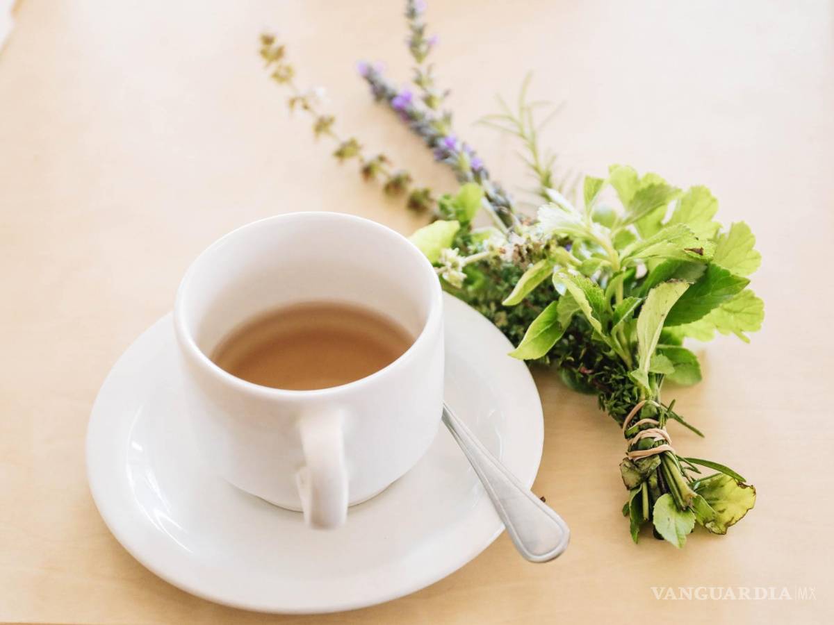 $!Los ingredientes naturales pueden sorprendernos sus efectos curativos en diferentes órganos del cuerpo como el cerebro y el estómago.